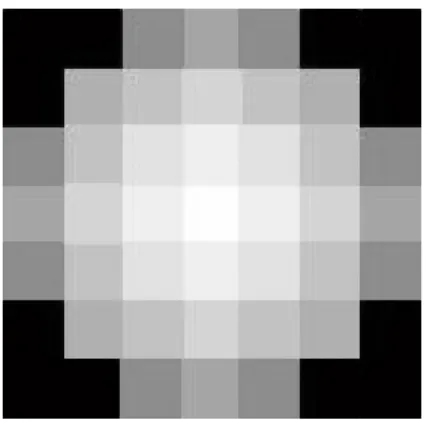 Figure 2.7 circular window for CSF
