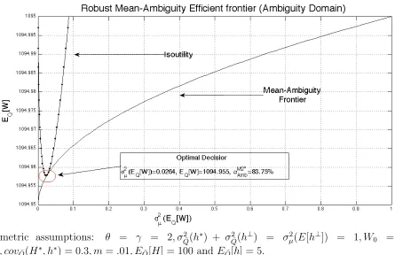 Figure 2.3: Optimal Choice in the Ambiguity Domain