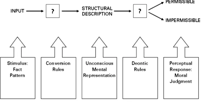 Figure 1.  The LA’s Expanded Perceptual Model of Moral Judgment12