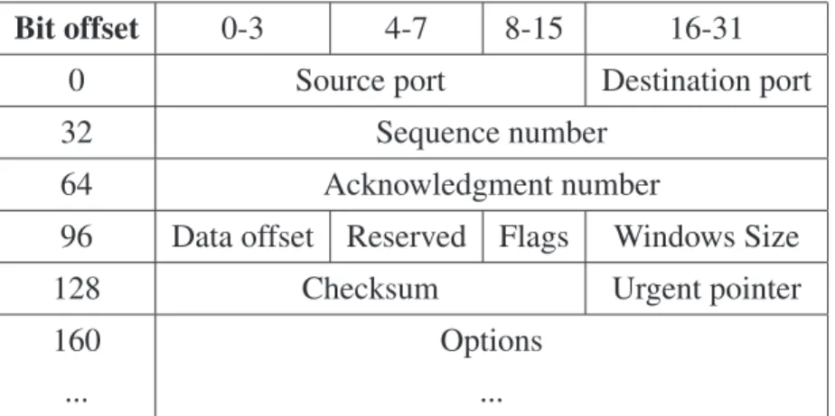 Figure 3.1: TCP header