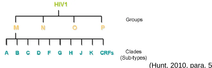 Figure 2-1 HIV-1 Groups and Clades 