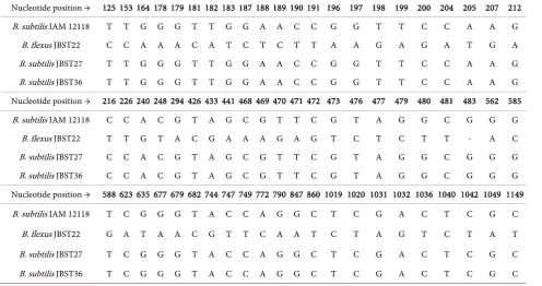 Table 2. Nucleotide sequence variation in the 16S rRNA gene among pectinase producing Bacillus strains (JBST22, JBST27, JBST36)