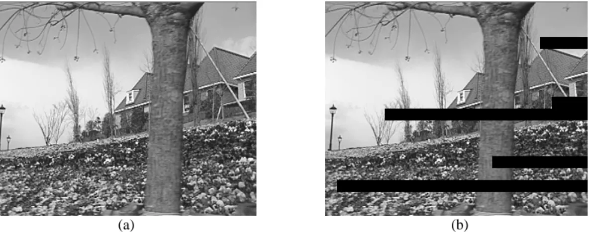 Fig. 3. The error-free and corrupted MPEG-2 video frames (the Y component) of the first frame of the  Flower sequence with the bit error rate = 0.1%: (a) the error-free video frame and (b) the  corresponding corrupted video frame