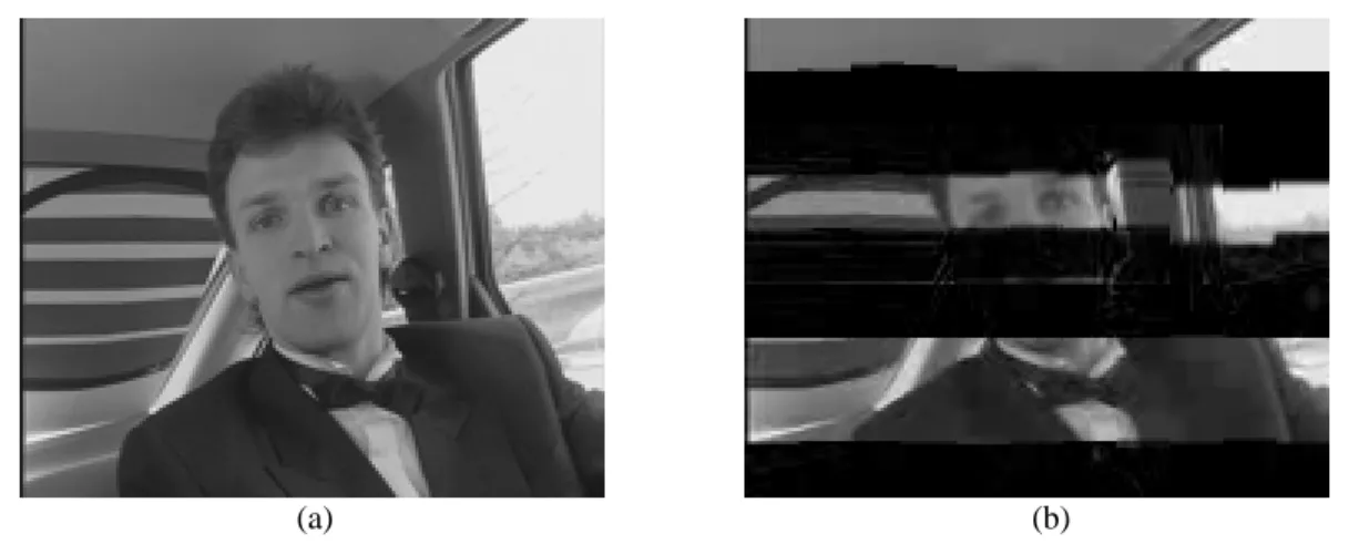 Fig. 4. The error-free and corrupted H.263 video frames (the Y component) of the sixth frame of the  Carphone sequence with the video packet loss rate = 20%: (a) the error-free video frame and (b)  the corresponding corrupted video frame