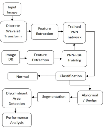 Fig. 2  Architecture of classification and structure analysis 