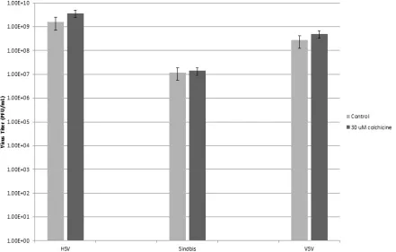 Figure 4. Effect of colchicine treatment on virus replication 