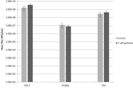 Figure 6. Effect of paclitaxel treatment on virus replication. 