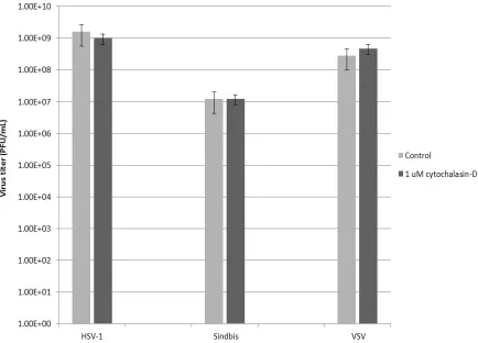 Figure 7. Effect of cytochalasin-D treatment on virus replication. 
