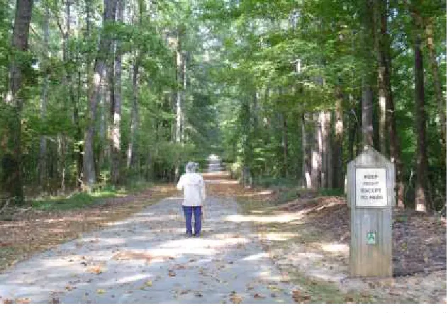 Figure 5. Image of Lionel Hampton Trail adjacent to Lionel Hampton and Beecher Hills Greenways 