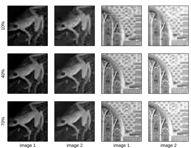 Figure 3.20: The “Frog” and “Keble” datasets. The first two images of the Frog and Keble datasets, saved as lossy JPEG images with quality levels of 10% (poorest quality of those shown), 40% and 70% (best quality of those shown) respectively.