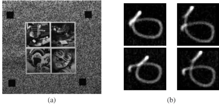 Figure 7. Ground truth data acquisition. (a) Calibration image.