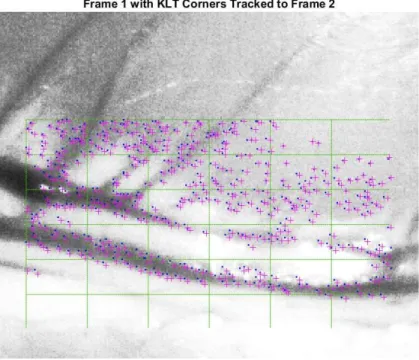 Figure 9: Image 1 ROI with Corners from Frame 1 (Dot) and Frame 2 (Plus) 
