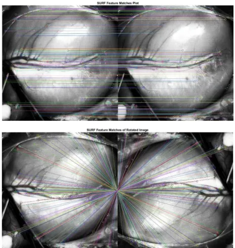 Figure 17: SURF Matched Features for Two Upright Frames (top) and Rotated Frames (bottom)  The next component to the reinitialization step is to utilize the Random Sample 
