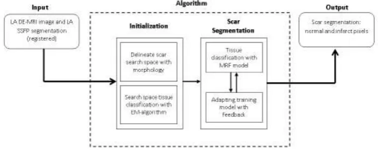 FIGURE 2. An overview of the steps involved in the segmentation process. The pipeline takes as 