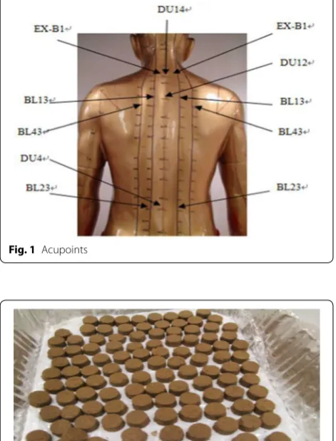Fig. 1 Acupoints