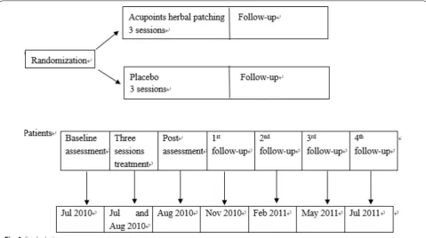 Fig. 3 Acupoints herbal patching schematic diagram