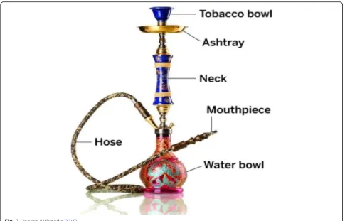 Fig. 2 Hookah (Wikipedia 2015)