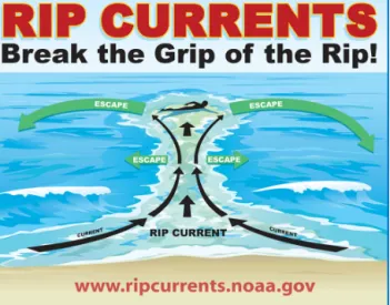 Figure 1. Rip current warning sign developed by the United States Rip Current Task Force as part of the “Break the Grip of the Rip!” ® education campaign.