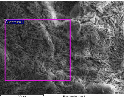 Figure 1 (C). EDX before contamination  
