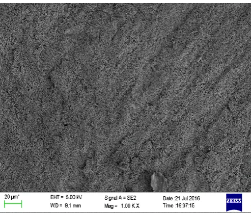 Figure 2A. Group i specimen at 1k magnification after treating with  ivoclean  