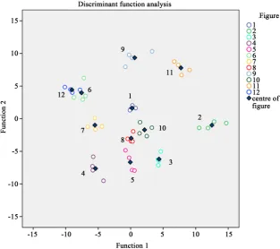 Figure 3. Discriminant function analysis diagram. 