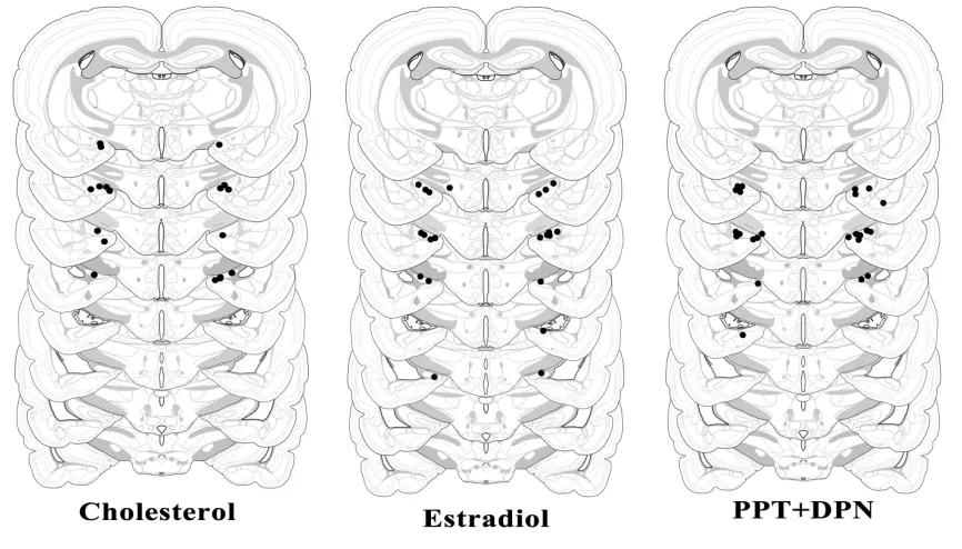 FIGURE 4: CANNULAE PLACEMENT TO THE MEA.  Location of the cannulae tips of male rats implanted with Chol, E2, or PPT and DPN into the MEA