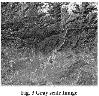 Fig. 3 Gray scale Image 