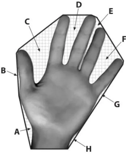 Figure 3.  Example Convex Hull Algorithm (Bradski &amp; Kaehler, 2008)  B    Pothole model 