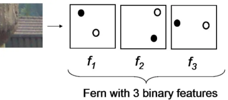 Figure 6: Fern feature. The dark and light circles shown in a white boxes are arbitrary pixel location (m and n)