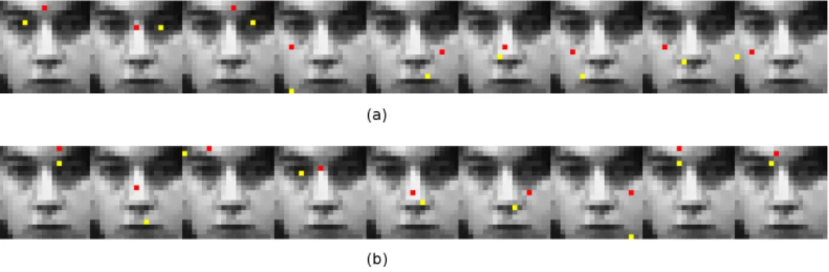 Figure 8: Fern features overlapped on face image. (a) shows the pixel pair location for rst fern, and (b) shows pixel pair location for second fern