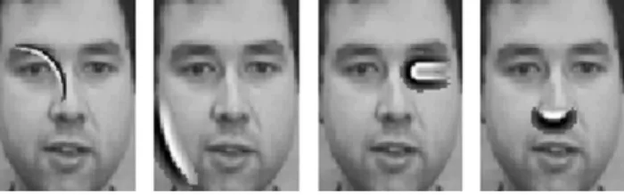 Fig. 1. Anisotropic Gaussian ﬁlters with different rotating and bending pa- pa-rameters