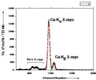 Fig 5(B): Netspectrum of The Fluorescent K X-Rays Emitted, When Sample of Caco3 Is 