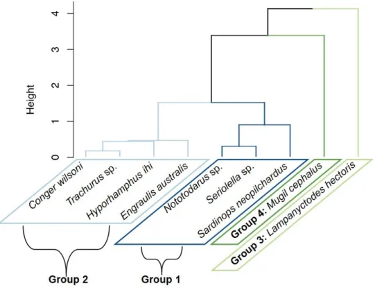 Figure S2 Dendrogram showing clustering of potential prey species. Ward’s correlation  coefficient = 0.728, height indicates the cophenetic distance between members