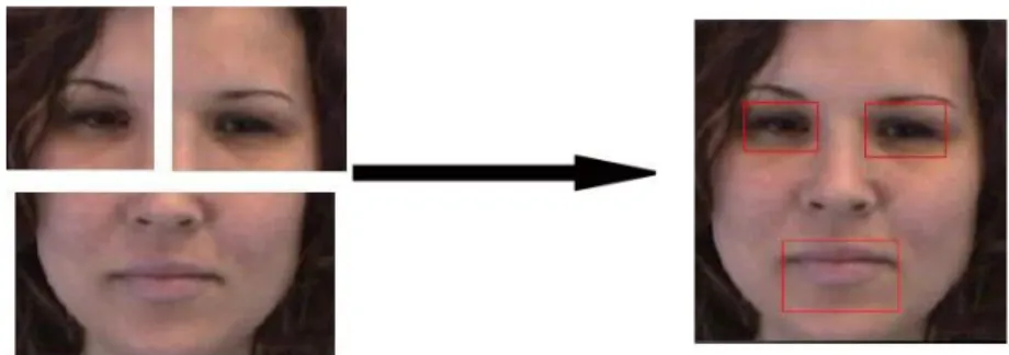 Fig. 8: Face elements localization