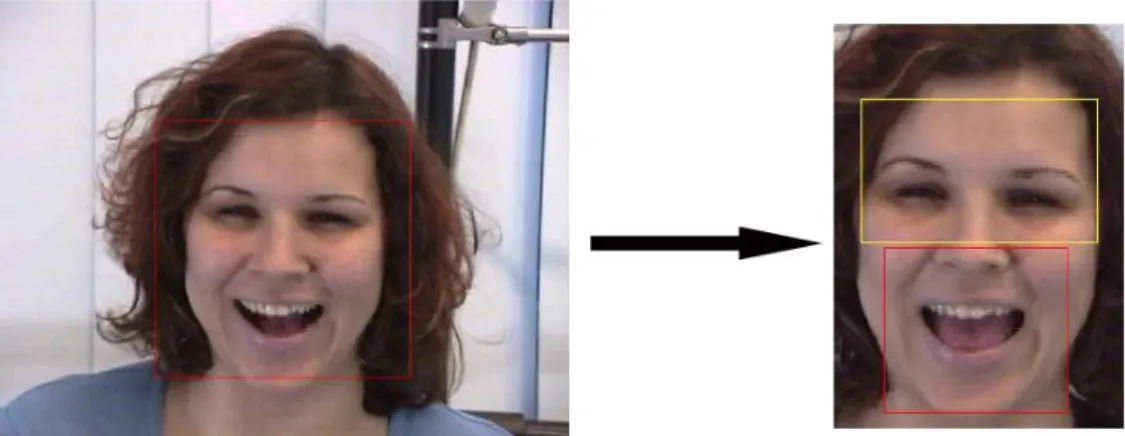 Fig. 10: Regions involved in expressions analysis