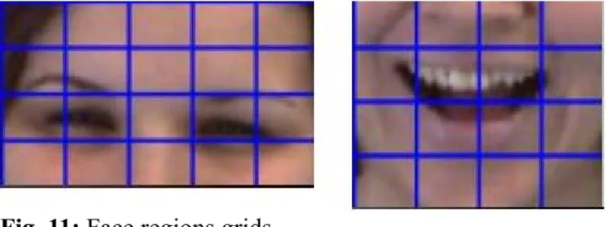 Fig. 12: Visualization of feature set Fig. 11: Face regions grids