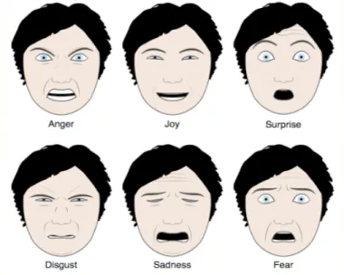 Fig. 2: Six universal emotions [4]