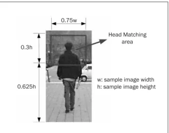 Figure 3 – Illustration of head matching area on a  pedestrian sample
