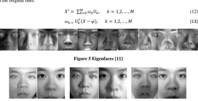 Figure 5 shows a set of eigenfaces generated from a training dataset containing about 200 pictures