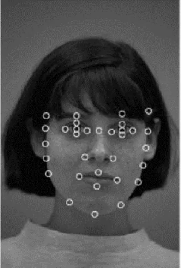 Figure 9 Control points [8] 