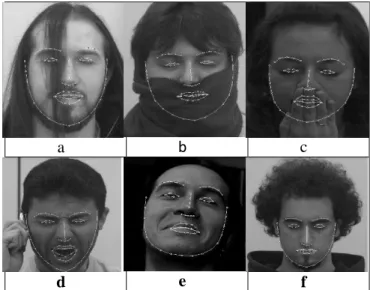 Figure 4 shows some of the results of face detection using this model with different occlusion and expression