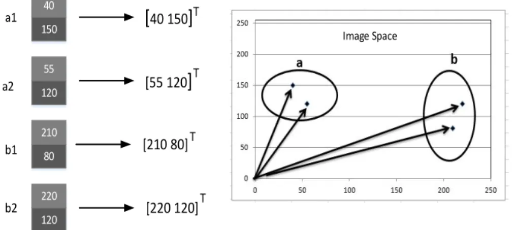 Figure 4.  A two pixel image mapped to a plane. 