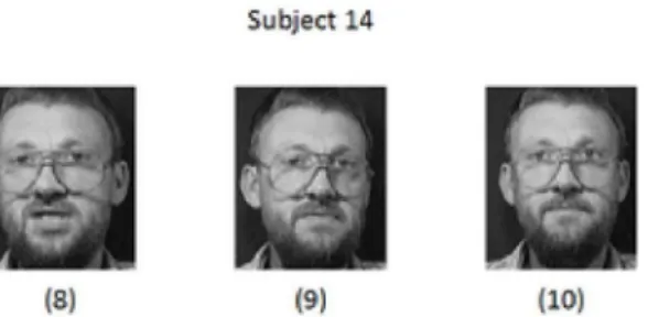 Figure 16.  Subject 9 in left eye recognition test.  Subject 9 image is from the AT&amp;T  database [1]