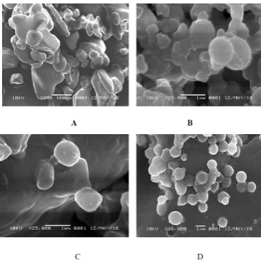Figure 2: IR Spectra  of Bioblend Polymers and Urea Microcapsules (A = Bioblend Polymers, B= Formula F1, C = Formula F2, and  D = Formula F3) 