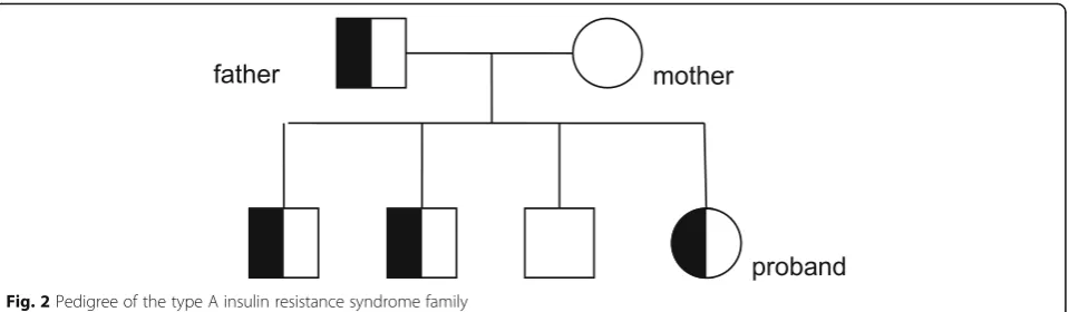 Fig. 2 Pedigree of the type A insulin resistance syndrome family