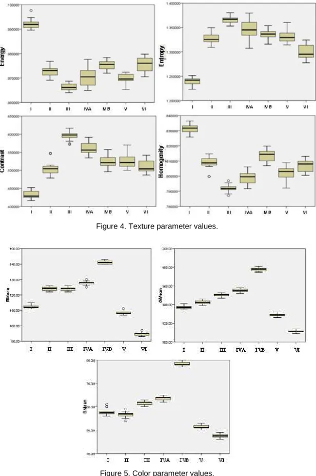 Figure 4. Texture parameter values. 