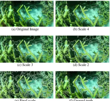 Figure  3  to  Figure  8  show  the  results  of  segmentation  method  by  original  JSEG  and  modified  JSEG  on  3  sample  coral  reefs  images  with  different  environment