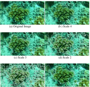 Figure 7: The segmentation results from the original JSEG algorithm for  test image number 3