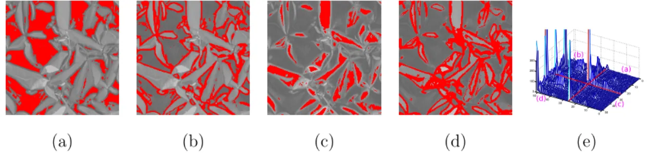 Figure 3: Interpretation of the SBP 2 descriptor (e) and its 4 regions (a-b) with, on the left, the corresponding back-projected pixels.