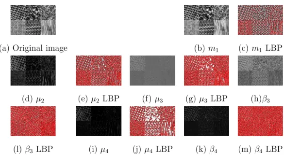Figure 4: Several moment images and their LBP encodings at different orders of a textured image